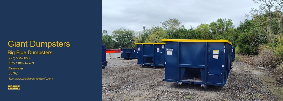 Small Commercial Dumpster